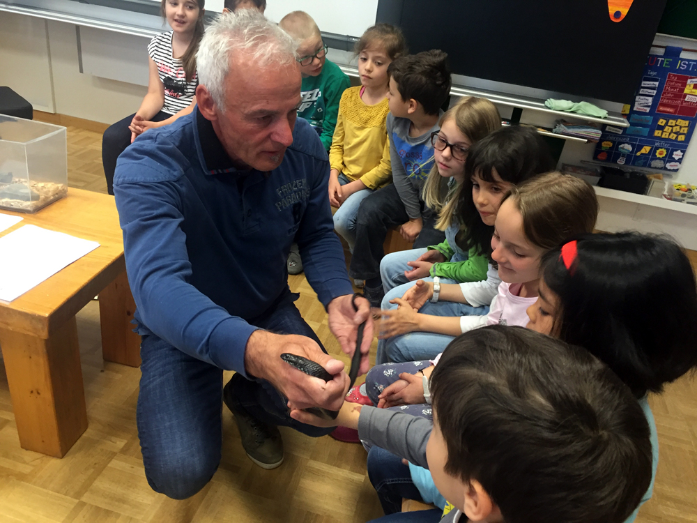 schlangen im schulzimmer 2016 06