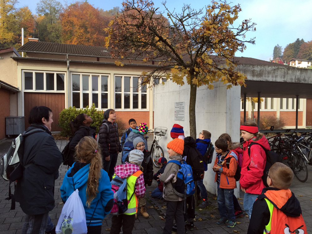 bericht schulhaustag 2